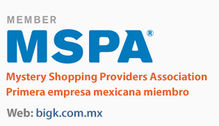 MSPA Logo